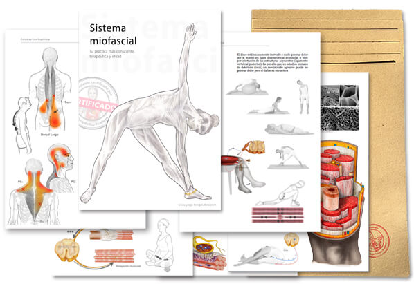 dossiers-petit sistema miofascial