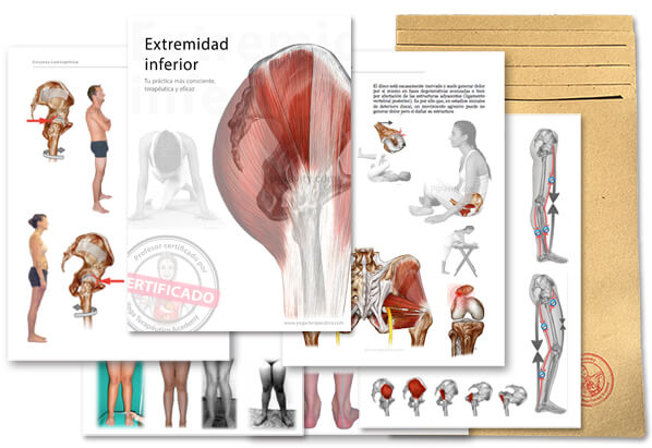 dossiers-petit extremidad inferior