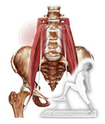 yoga terapeutico columna vertebral