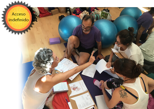 cursos yoga mexico cursos yoga mexico