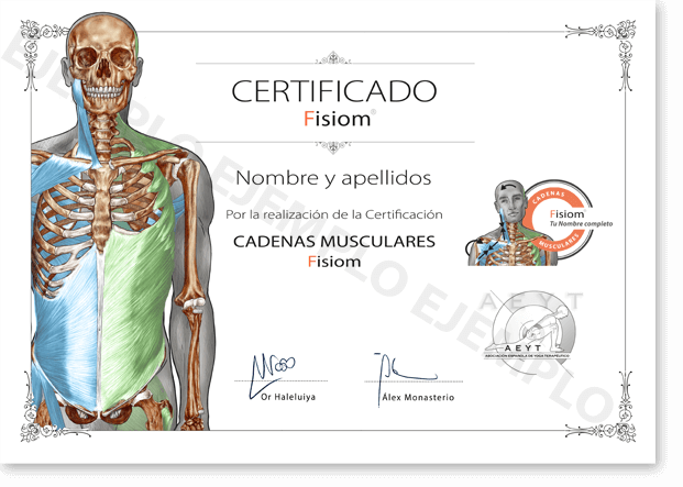 Diploma Cadenas Musculares