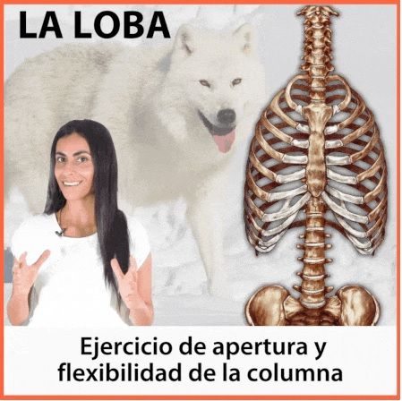 La Loba: una postura de Apertura