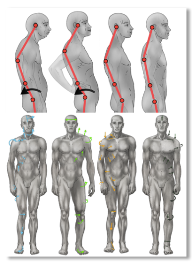 estudio-postural