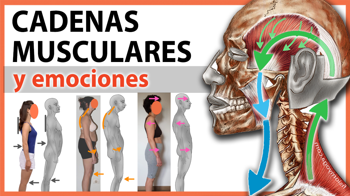 ¿Sufres de dolor lumbar o de rodillas?