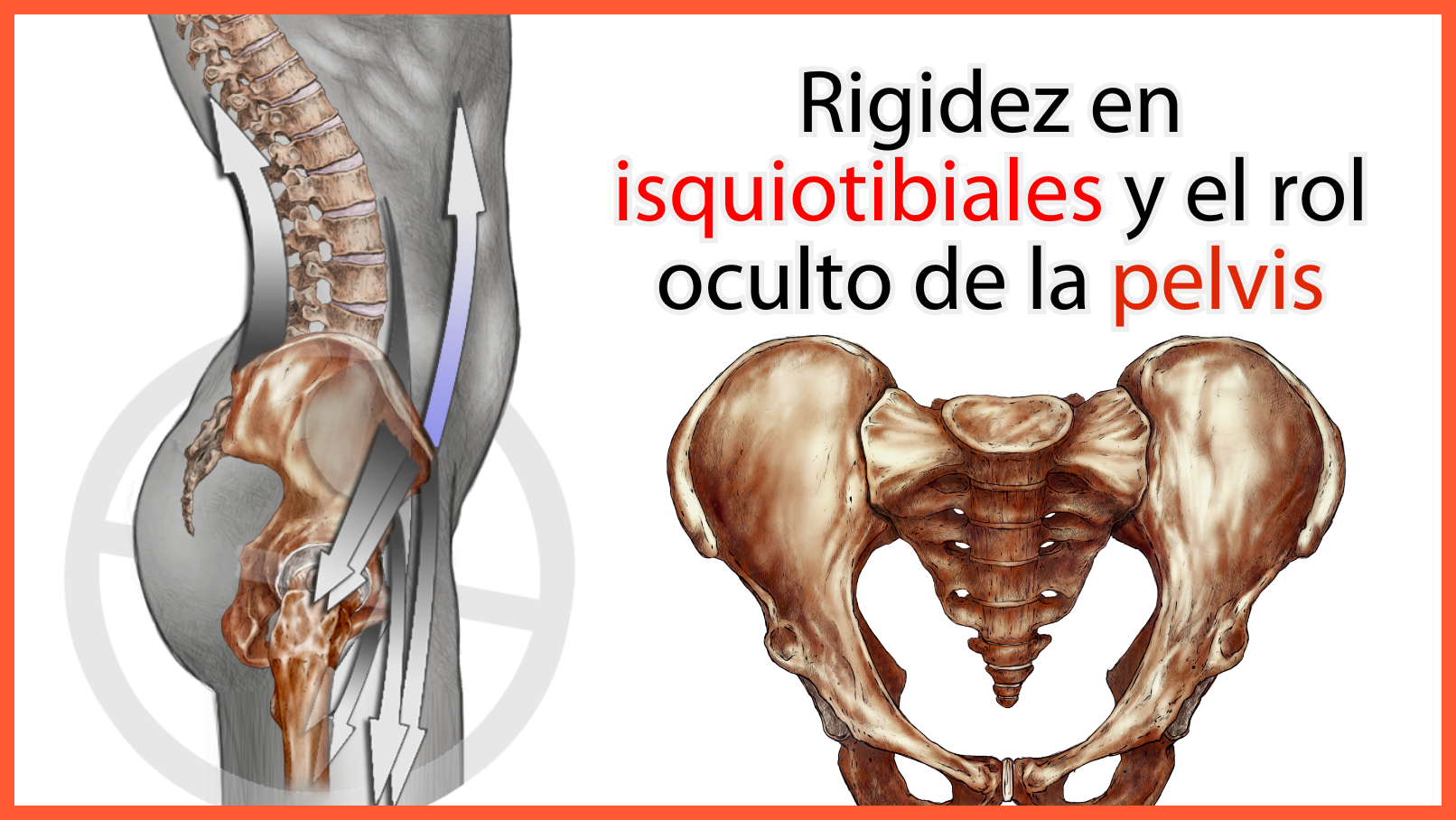 Caso Clínico – Clara: Rigidez en isquiotibiales y el rol oculto de la pelvis Caso Clínico – Clara: Rigidez en isquiotibiales y el rol oculto de la pelvis